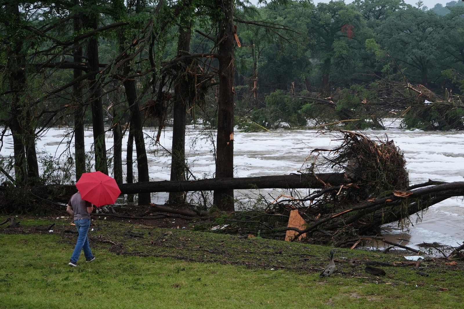 'Flash flood the road to the history of fatal floods: meteorologist