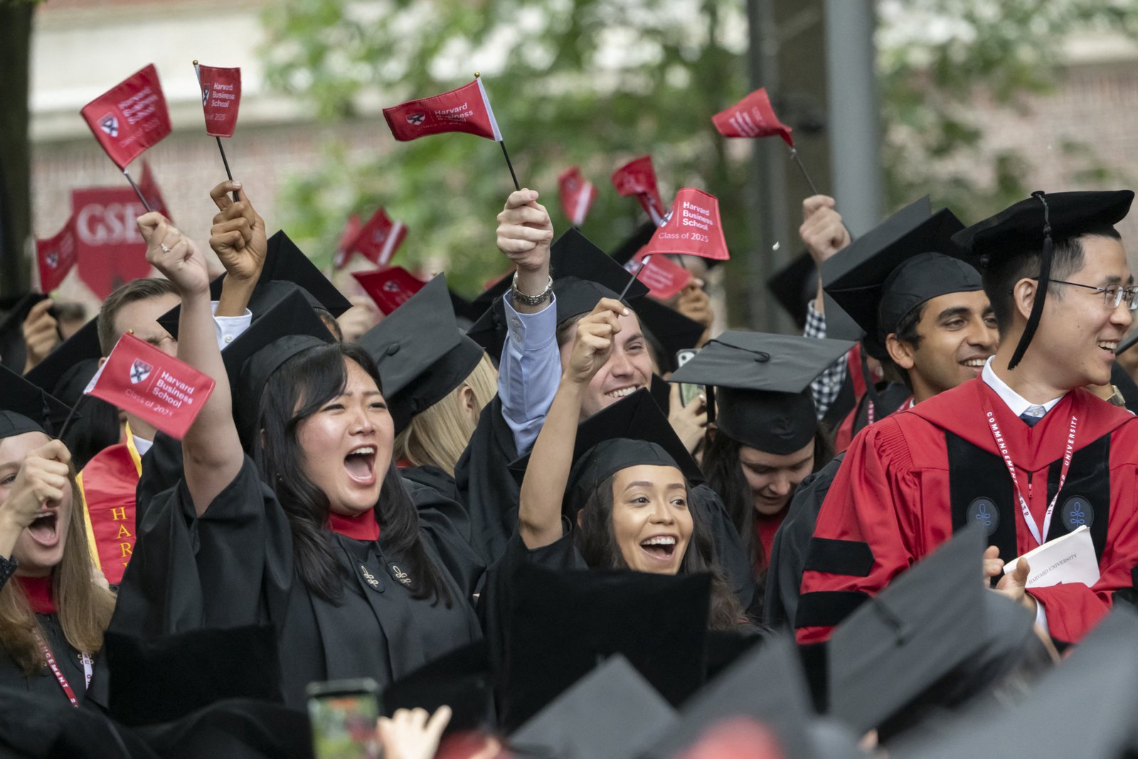 Half of students say Ai is the most important skill that learned in high school