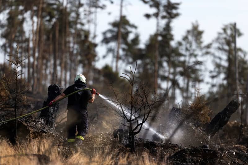 Firefighters tired "as Germany wrestling with wild huge