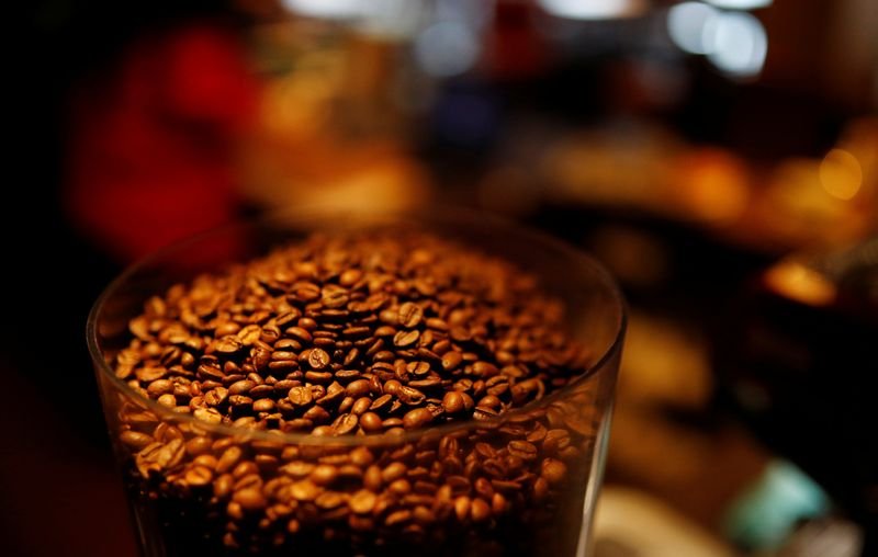 Global Global Global's shafts may need at least two good cultures, experts say