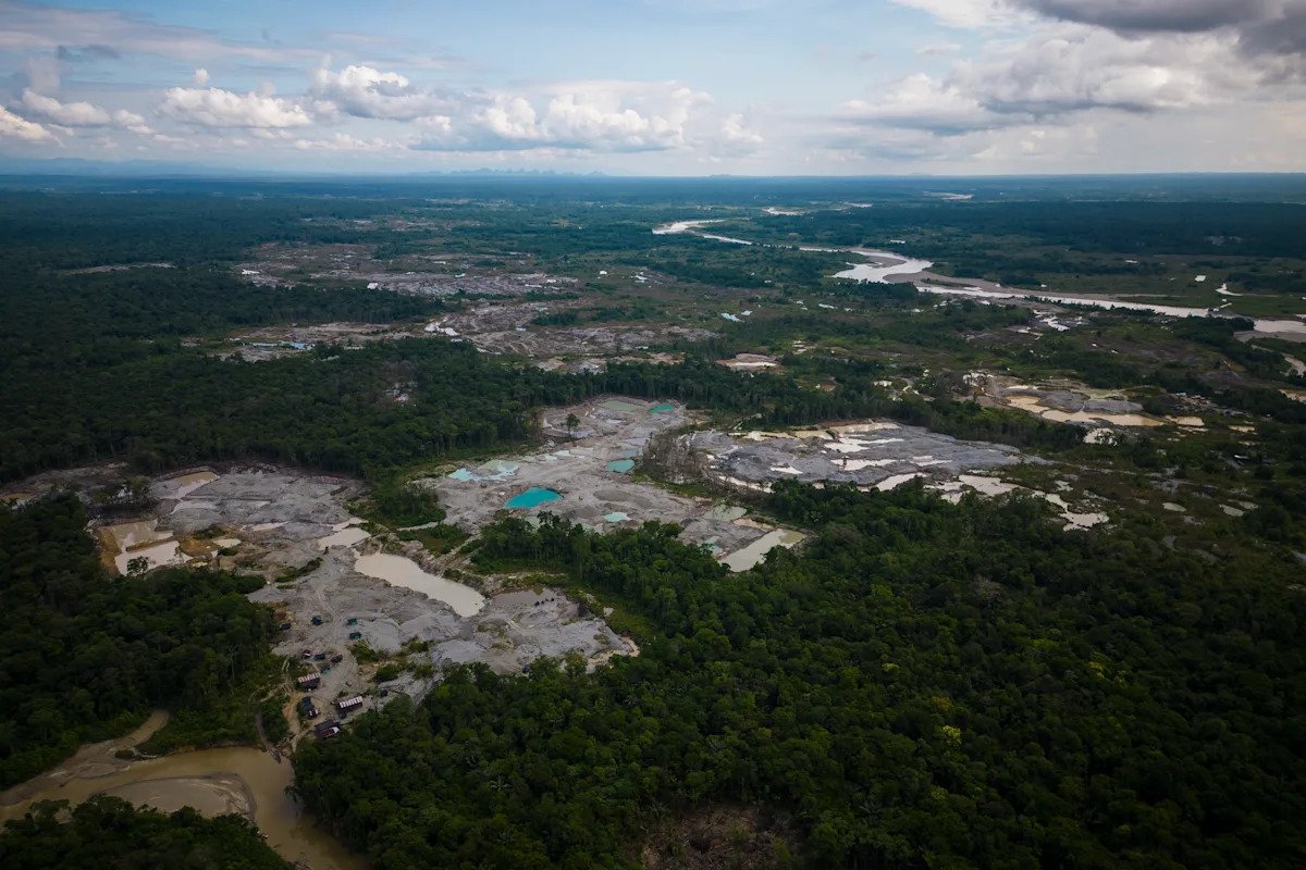 Amazon Deforestation Surgge in Colombia, reversion to earn