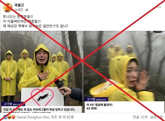 The Amaging of the Anti-PEST control interviews spread in line as S. Korea Swarmed with Lovebugs