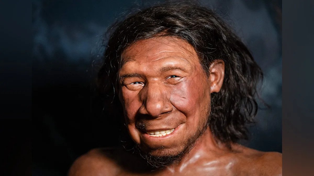Neanderthals extracted animal fat in advanced prep factories of food "125,000 years ago: Report