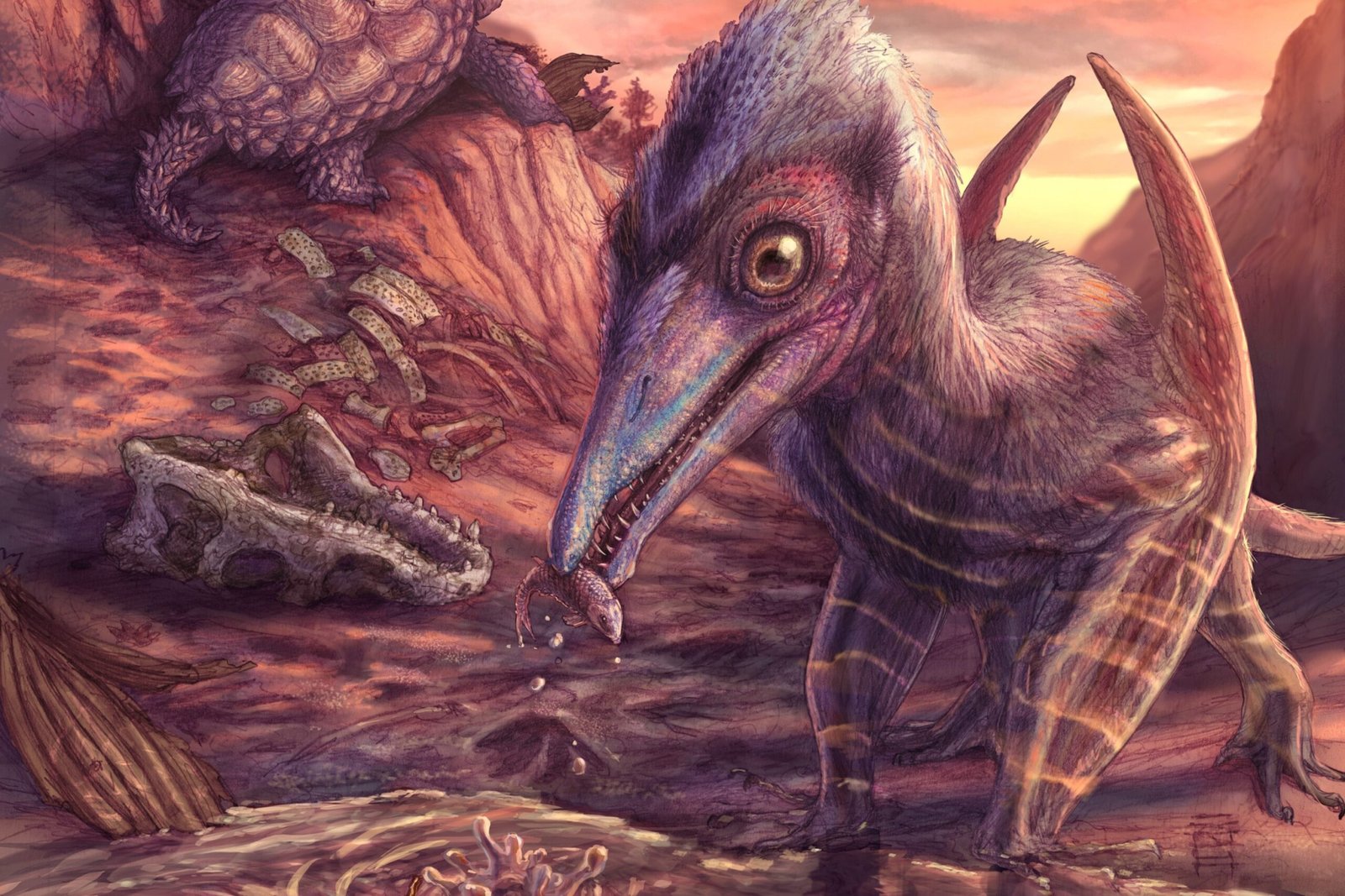 Paleontologists discover one of the North America flight points