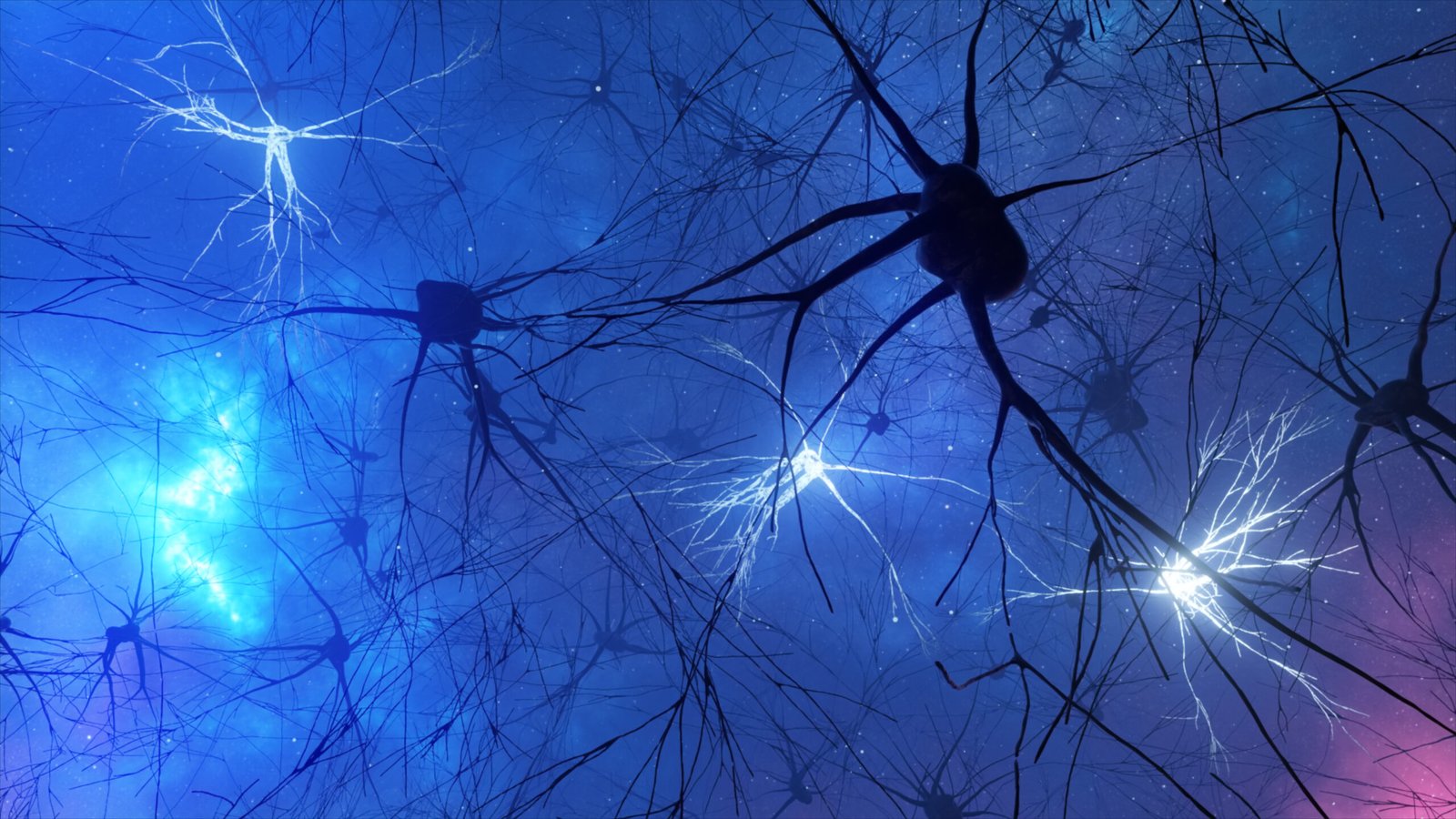 Parkinson's disease: "The brake" can lift the cell death in some patients