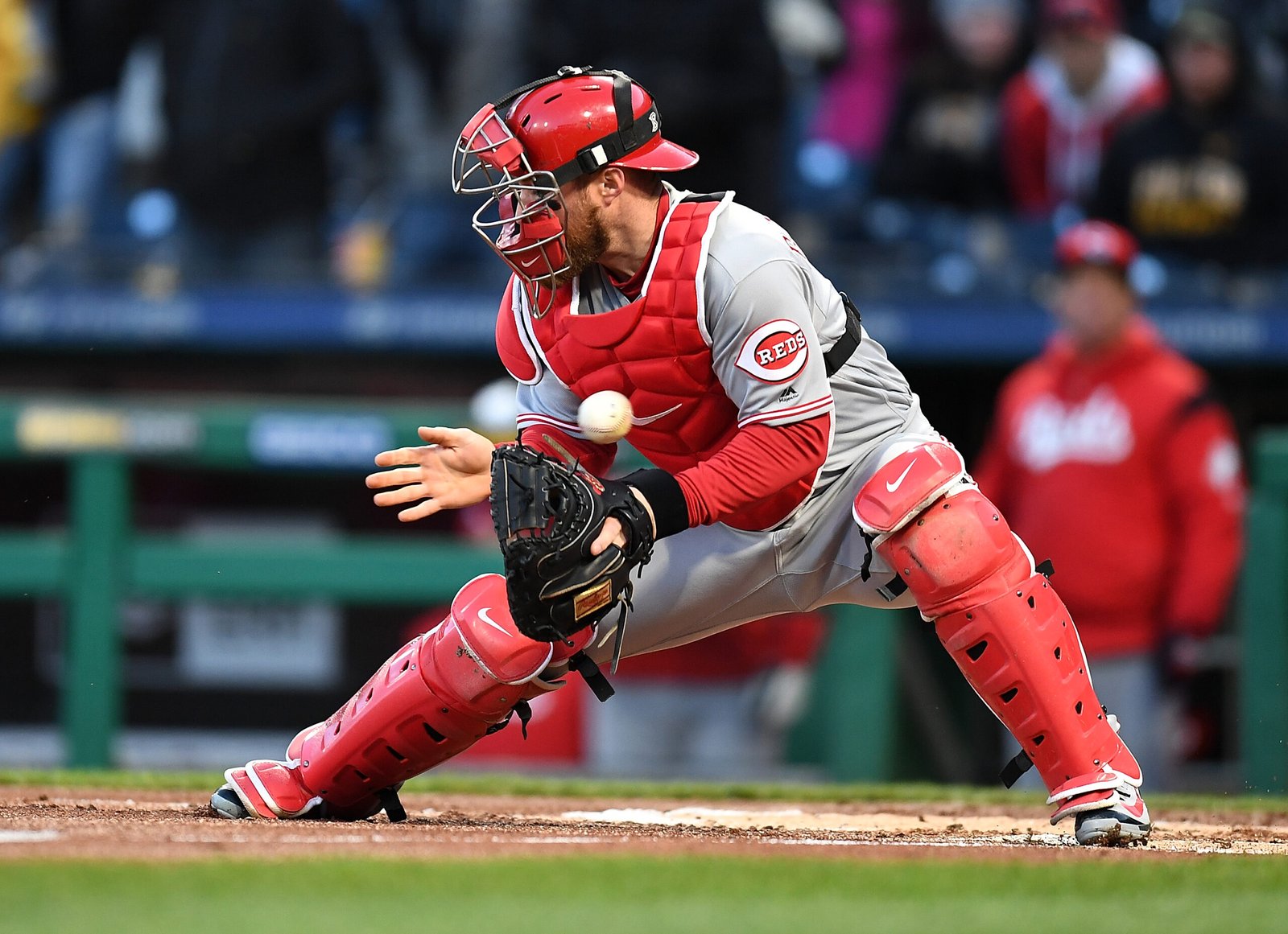 The old Reds, Gold Catcher cubs withdraw immediately after 12 seasons