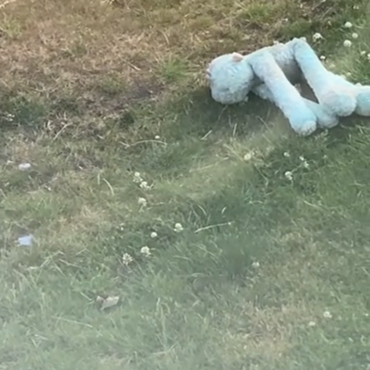 Games were out of place every morning. Was not the dog.