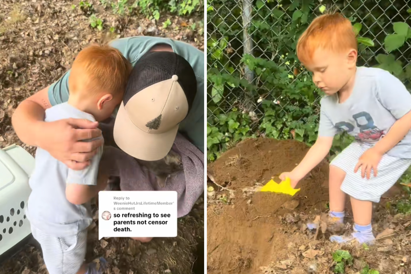 Parents leave Toddler tell Final Goodbye to the reaction loved pet-reaction