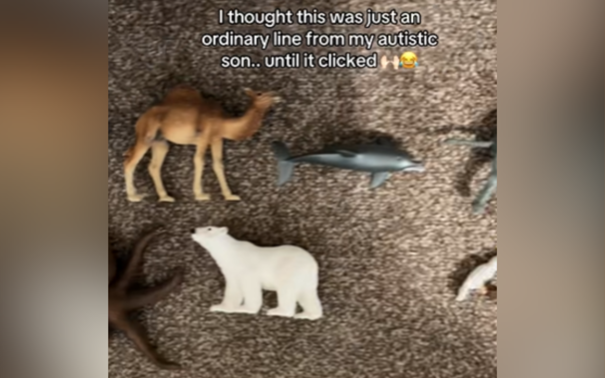 Mom View son playing with toy animals - then realizes what you really happen