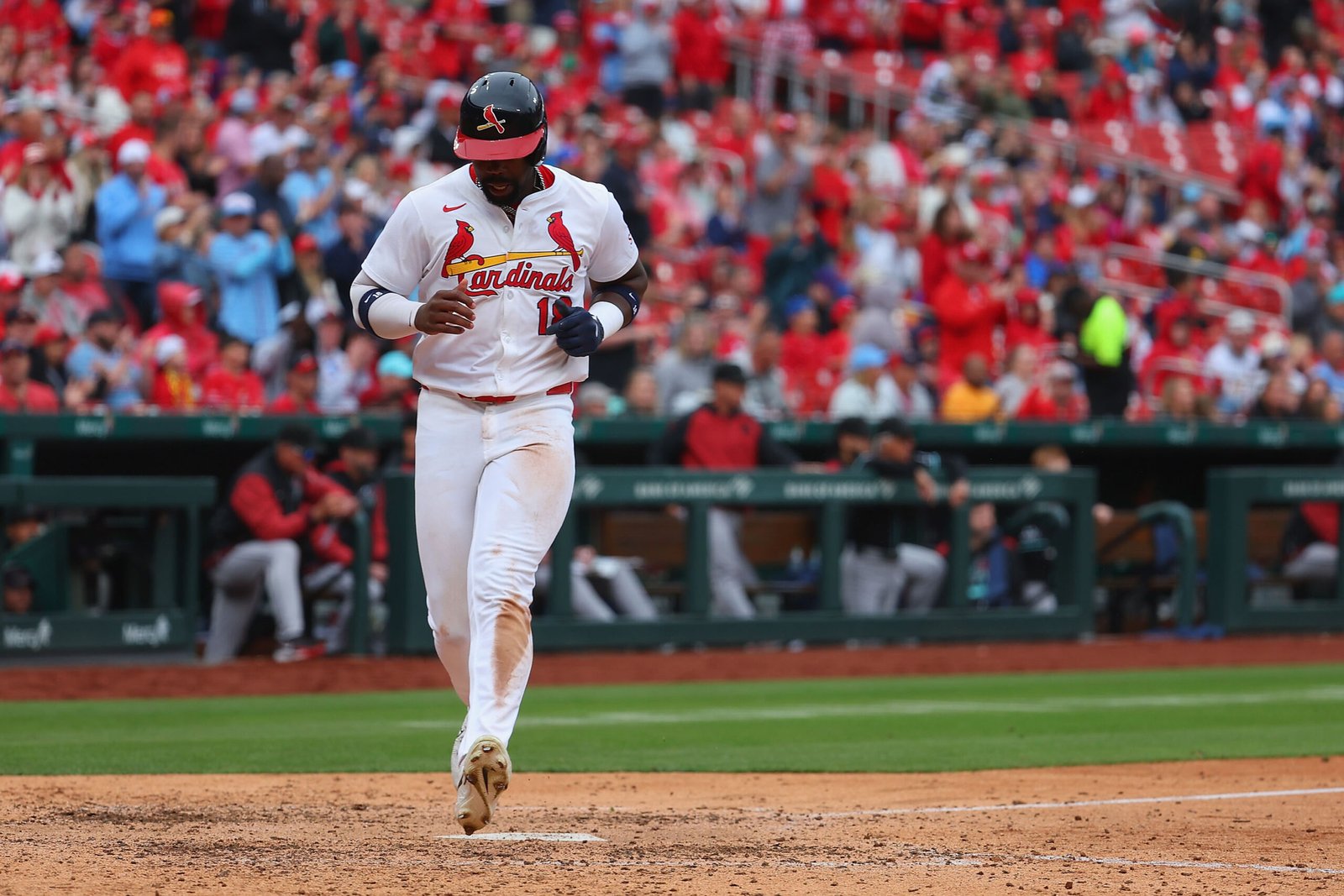 Cardinalies outfielder that is based on follow-up on the injured listing stint with appendicites