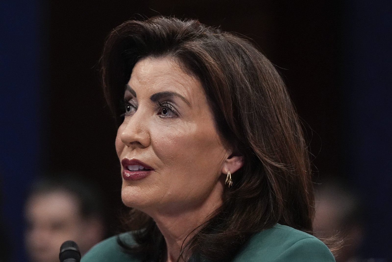 The Pussies of Kathy Hochul to lose New York Governor Election: Surveys