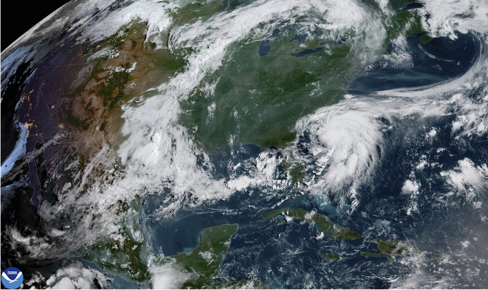 Chantal Tropical Chantal Forms, take the goal to Carolin