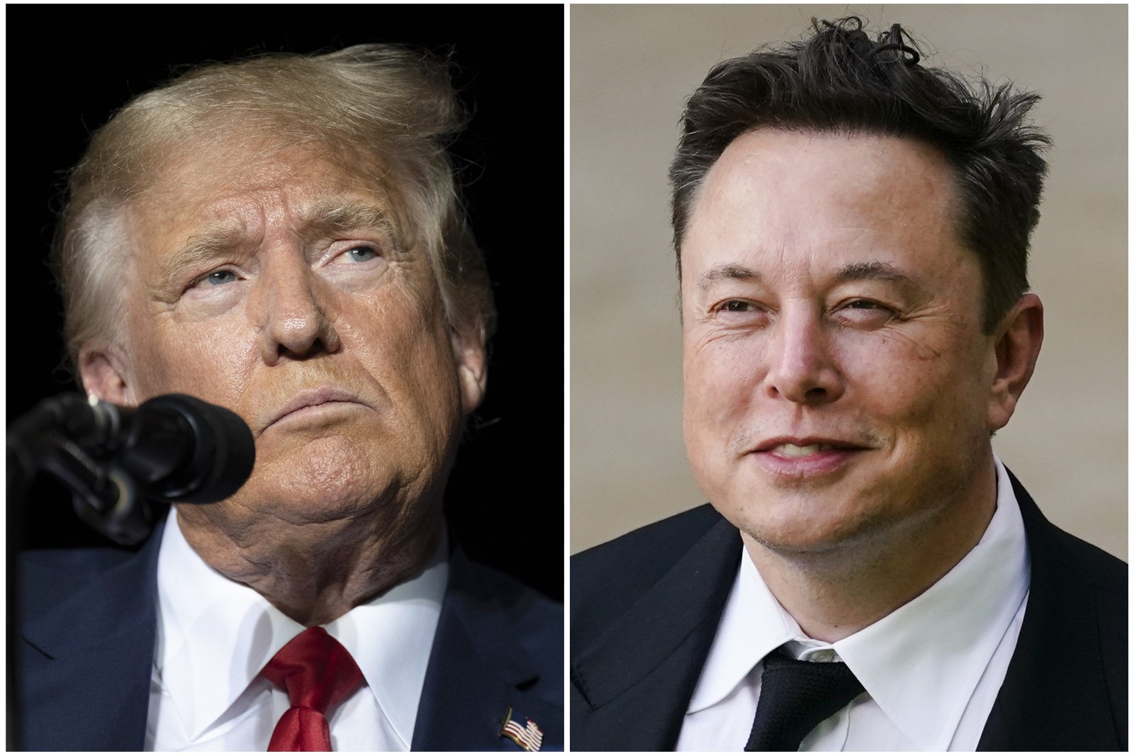 Elon Musk Mocks Trump after 'Jibe of Gark' Tren