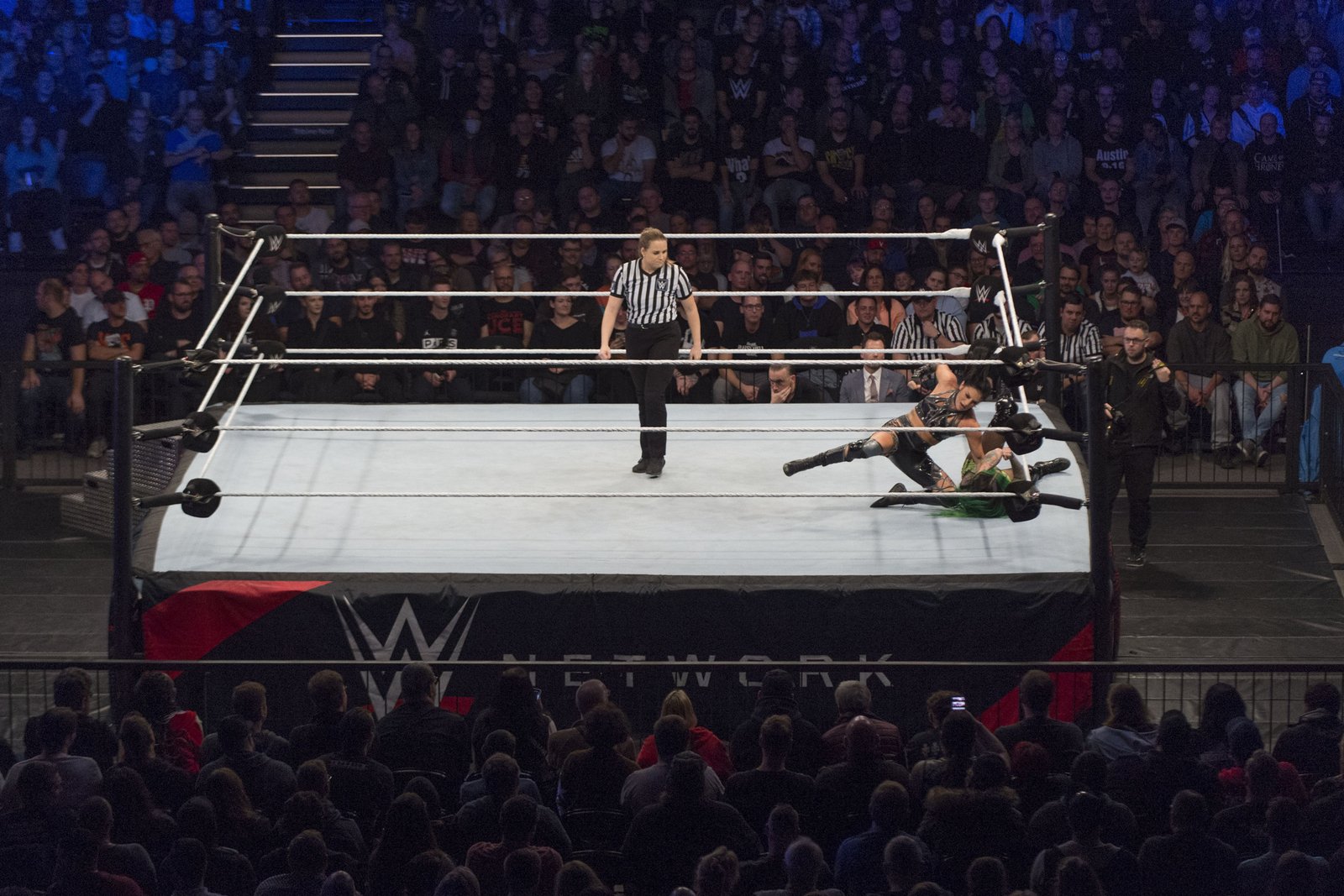 The WWE supersar fan-fan