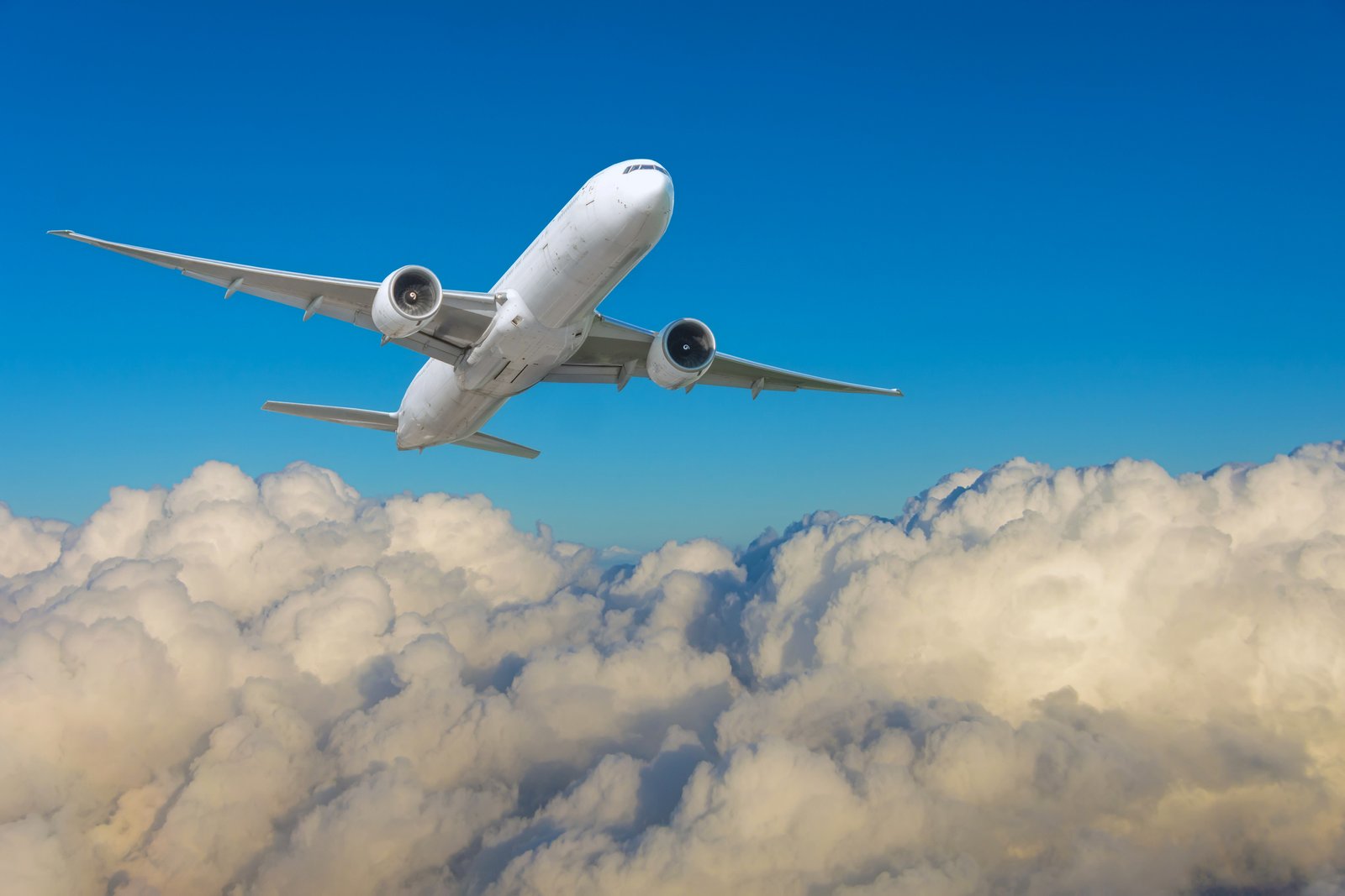 Execions see the changes to the immigration immigration immigration's booking