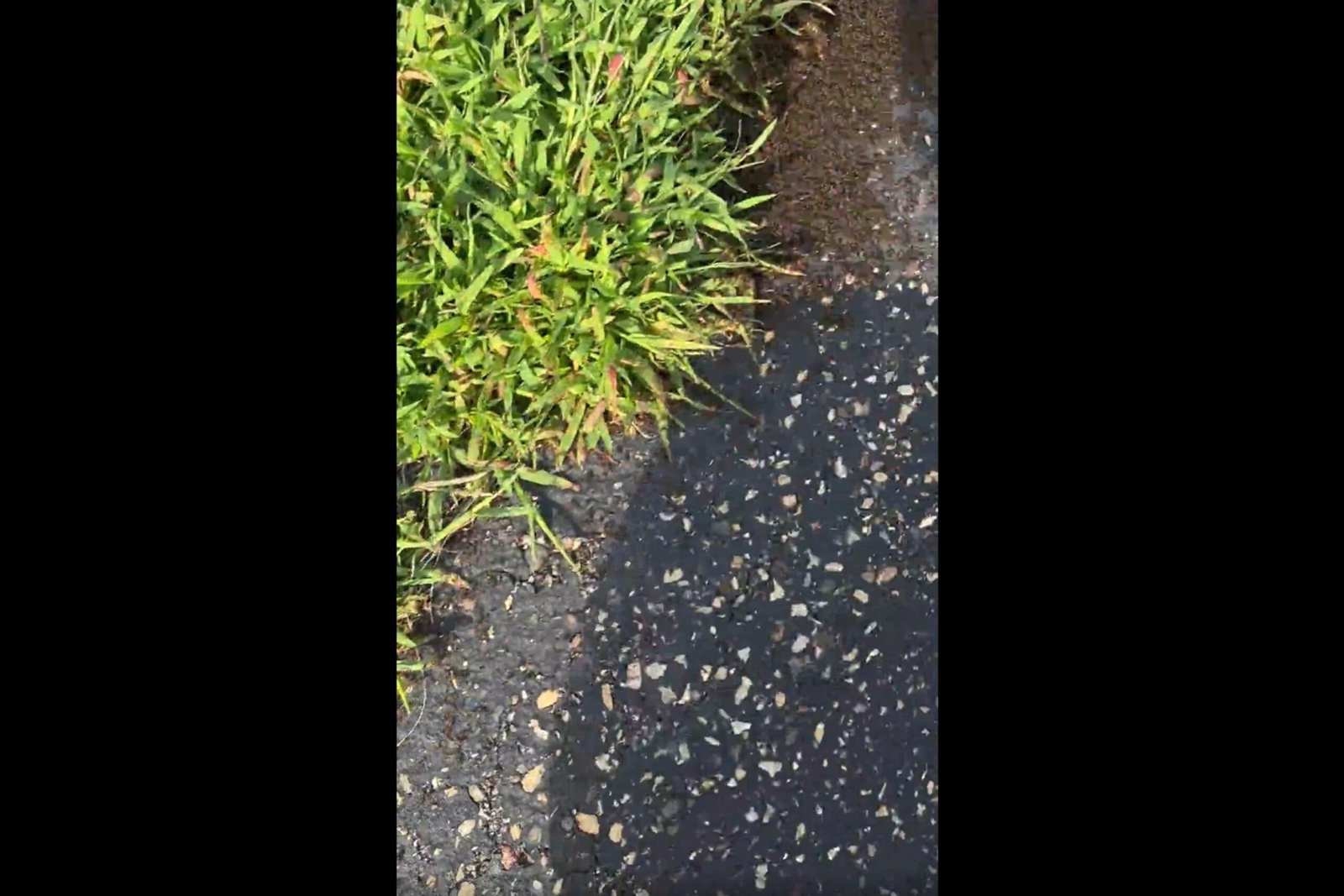Woman goes in to a walk in Minnesota, Shock to what you find: 'what is going on? '