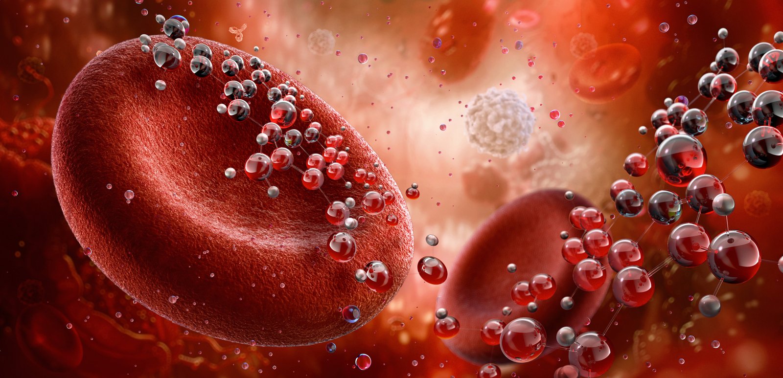 The cerebral disease repairs can help fight the alzheimer, old and more