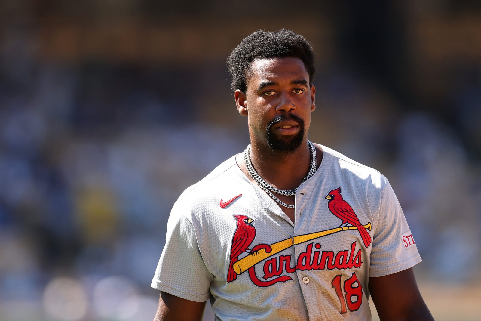 Cardinals have urged to cut links with old prospective